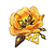 Flower of Creviced Cliff