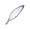 Item Initiate's Feather