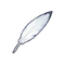 Initiate's Feather