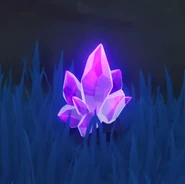 In the Wild