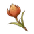 Item Special Flaming Flower