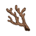 Coral Branch of a Distant Sea