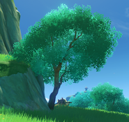 Adhigama Tree