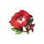 Martial Artist's Red Flower
