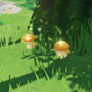 In the wild