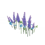 "Peaceful Purple Dream"