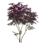 茂生丹朱 (57キロバイト) 茂生丹朱