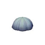 No Jumping, No Tramping