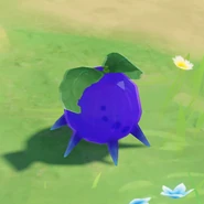 In the wild