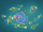 Researcher's Notes