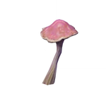 築鋒葵茸 (17キロバイト) 築鋒葵茸