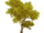Amber Irontrunk Tree