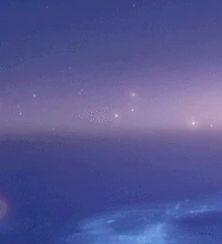 Party Setup Blossoming Starlight