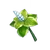Item Mint