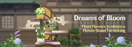 Dreams of Bloom