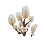 Chilling Sand Grilling