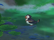 Wildlife Puffin Wild.png (701 KB) In the wild