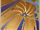 Forbidden Knowledge (Event Card)