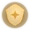 Icon TCG Shield