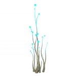 Aqueous Sprigs