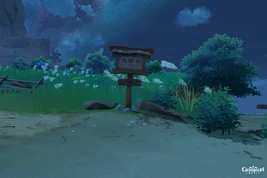 Missing Person Bulletin Board