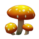 Item Mushroom Old CBT1