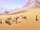Headlong Into the Sands