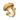 Item Mushroom.png