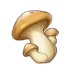 Item Mushroom.png