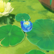 In the wild (Daytime)