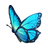 Item Butterfly Wings.png