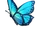 Butterfly Wings