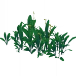 The Bountiful Waterside