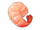 Shrimp Meat