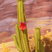 Item Henna Berry Wild.png (559 KB) In the wild