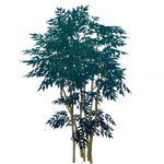 群生蝶緑 (57キロバイト) 群生蝶緑