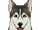 Northland Hound