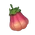 ザイトゥン桃