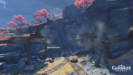 The Surface