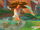 Mother Flamegranate Tree