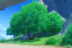 Linden Wood | Genshin Impact Wiki | Fandom