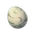 Bird Egg