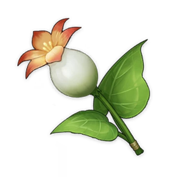 Calla Lily | Genshin Impact Wiki | Fandom
