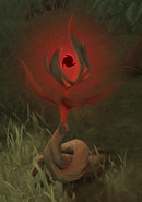 Withering Branch