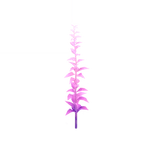 Thrice-Dyed Crimson Snowmelt