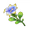 Pluie Lotus