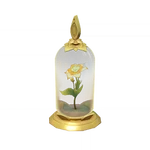 Songs Amongst the Stones