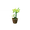 Uplifting Growth