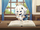 楽しい時間を思い出に残す写真/ギャラリー