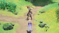 Eremite Sunfrost Enhanced State